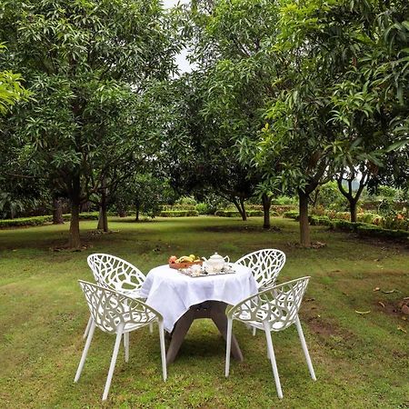 Stayvista'S Prakriti Farms With Outdoor Pool, Complimentary Breakfast And Hi-Tea Udaipur Exterior foto